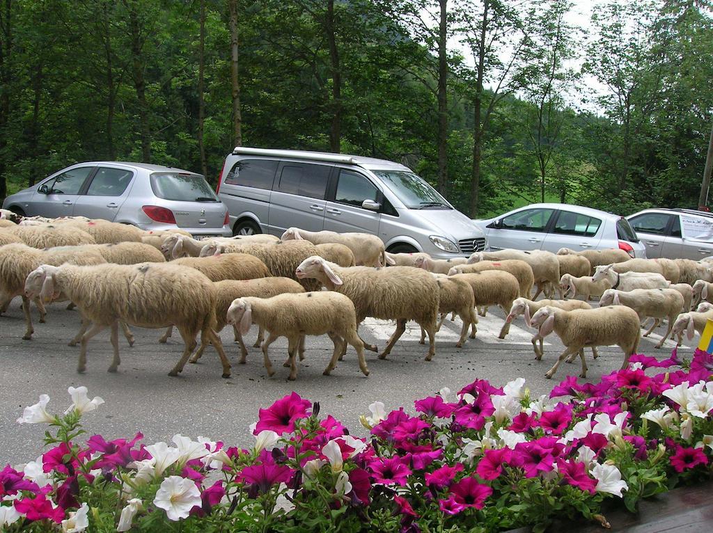 Hotel Spampatti Castione della Presolana Dış mekan fotoğraf